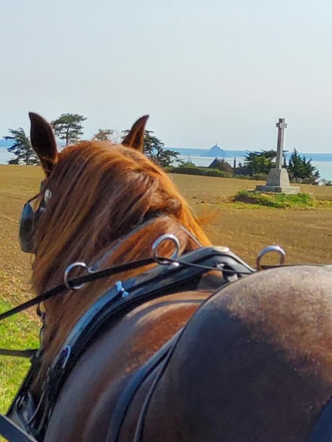 Chez Jollyjune, A Moins D'Une Heure Du Mont Saint Michel Champeaux Dış mekan fotoğraf